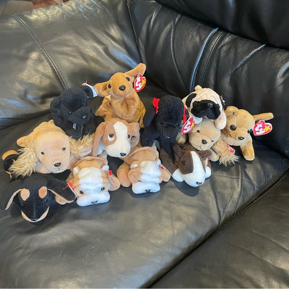 Meet the TY Beanie Baby Dogs! - Picture 8 of 8
